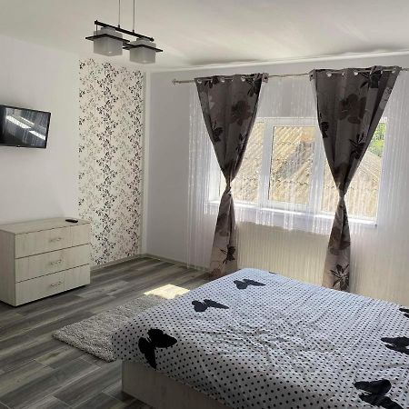 Dana Studio Tulcea Eksteriør bilde